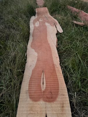 Live Edge Cedar Wood Slabs