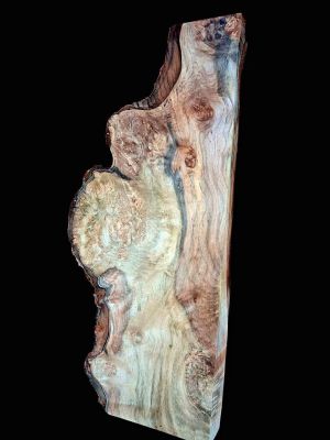 XL INSANELY FIGURED AMBROSIA MAPLE Burl wood Blank, Birdseye Maple Burl, Live Edge Maple, EPOXY WOOD