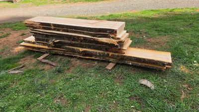 Live edge wood slabs