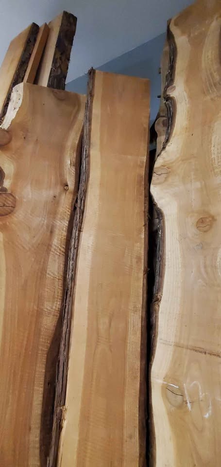 Cedar live edge slabs, kiln dried - Image 2