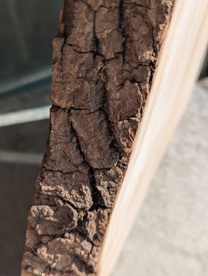 Beautiful wood slab 1.5" x 14" x 47" long. Type of wood unknown - Image 3