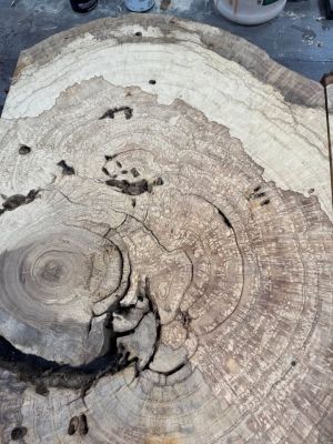 Large White Oak Burls Wood Burl Slabs Book matched and Rare