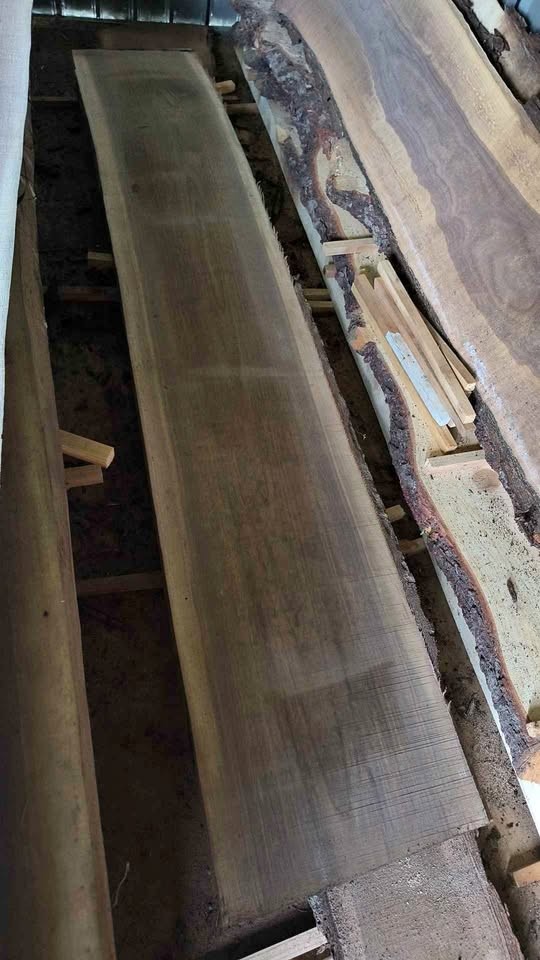 Freshly Milled Walnut slabs - Image 1