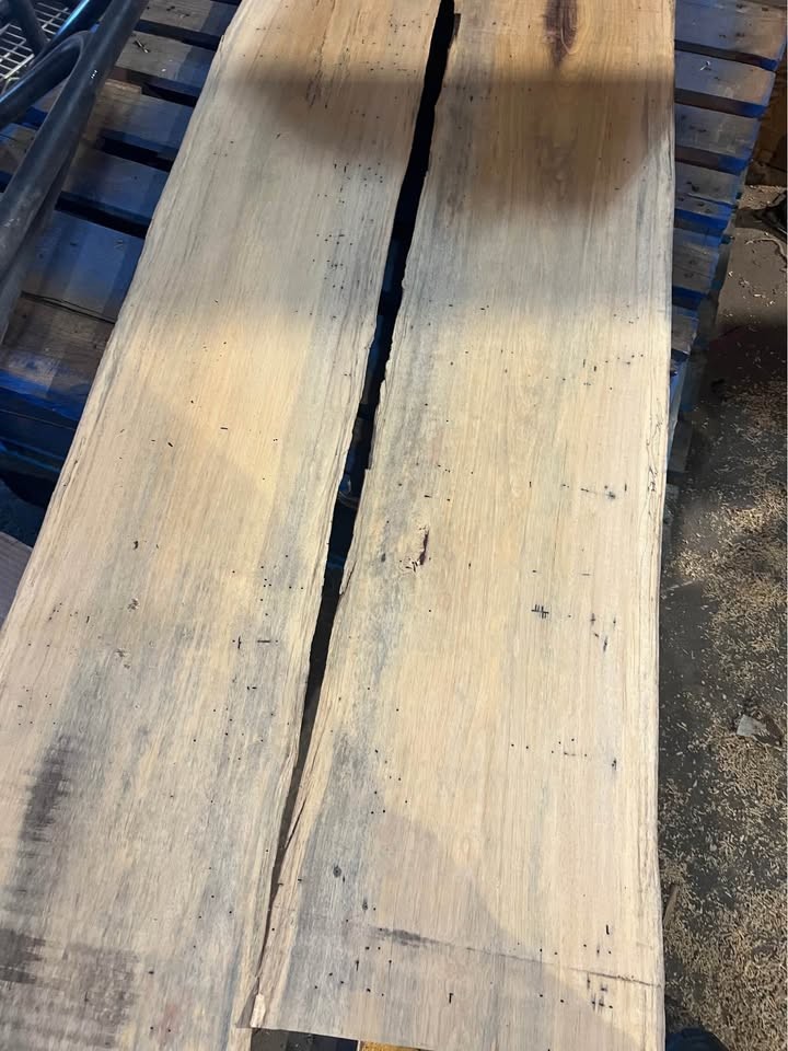 Live Edge Spalted Wamara Wood Slabs - Image 4