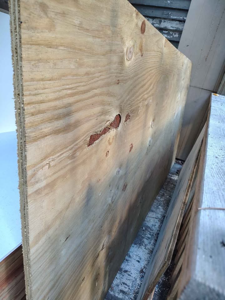 3/4 4x8 pressure treated plywood sheet dry - Image 2