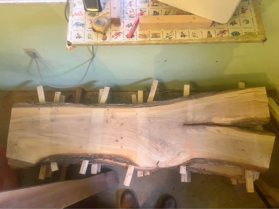 Live edge American elm