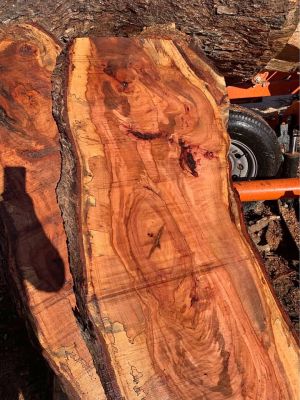 Spalted Pecan