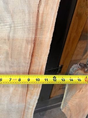 Live edge wood slabs white pine, and poplar 7 PCs for $20