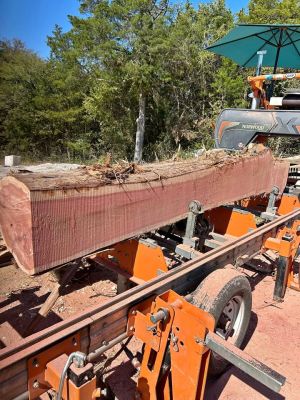 Storm-Damaged Trees? Portable Sawmill – On-Site Milling