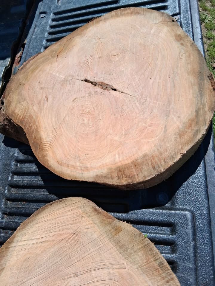 Slab of cherry wood - Image 2