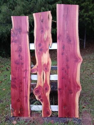 Wide Cedar Live Edge Slabs