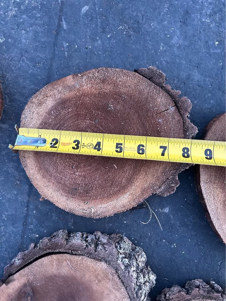 Live Edge Walnut Wood Cookie Rounds $2 each - Image 4