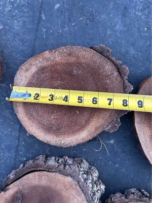 Live Edge Walnut Wood Cookie Rounds $2 each