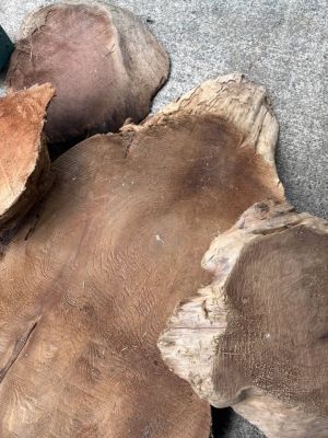 Large Natural Wood Root / Tree Trunk Slab – Rustic Statement Piece – $450 OBO