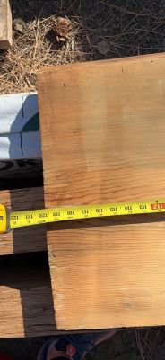 Live edge blue pine slab