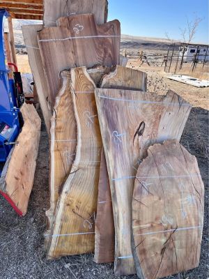 Local Wood Slabs