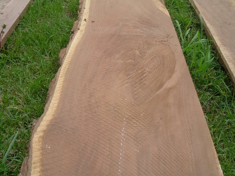 Walnut Lumber Boards Kiln Dried - Image 6