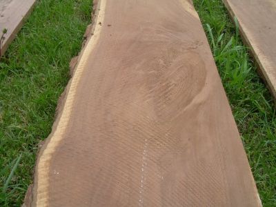Walnut Lumber Boards Kiln Dried