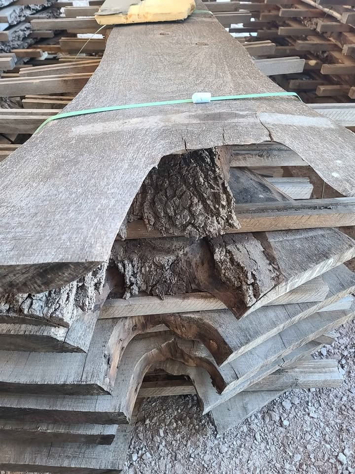 Giant Walnut Slabs - Image 4