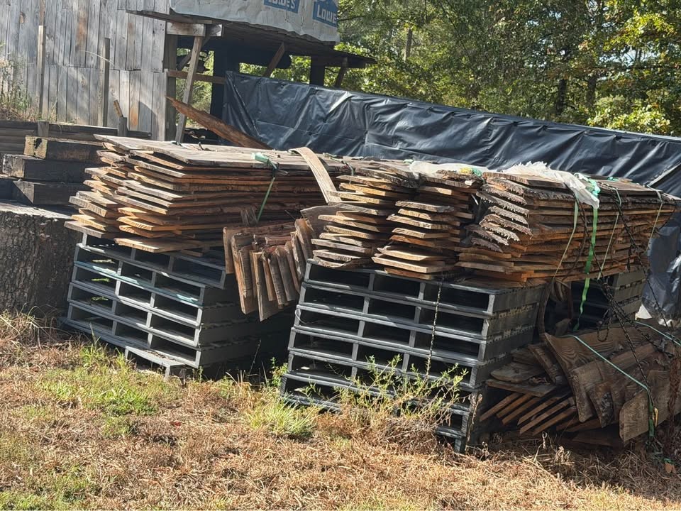 Bulk Lot of Live Edge pine slabs - Image 2