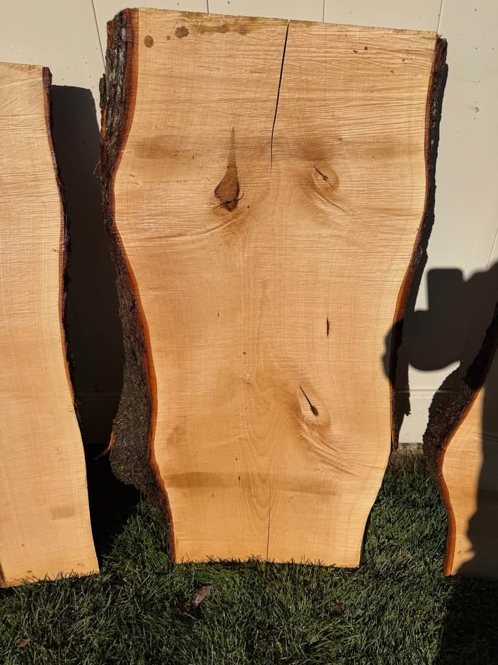 Live Edge Maple Wood Slab 38" x 20" - Image 4