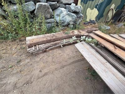 Maple wood 3” thick