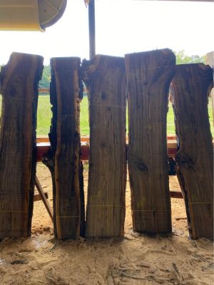 Black Walnut Live Edge Slabs