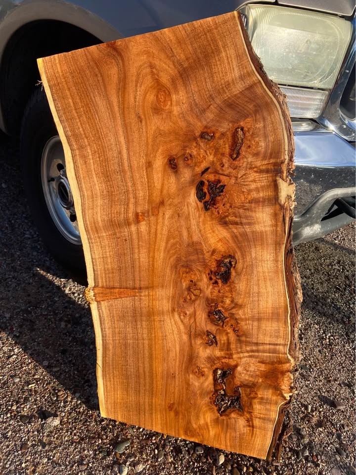 Live edge wood slabs - Image 7