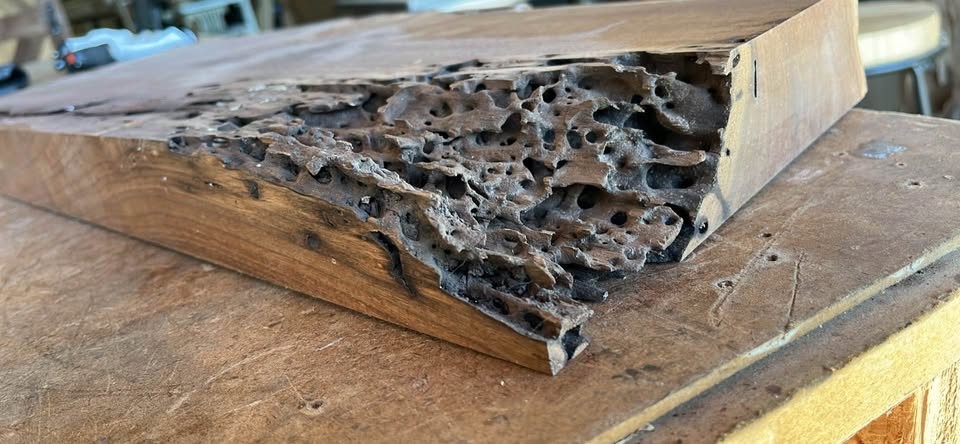 8/4 (2”) Live Edge Black Walnut Slab - Premium Deep Resin Casting Blank - Image 3