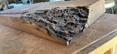 8/4 (2”) Live Edge Black Walnut Slab - Premium Deep Resin Casting Blank
