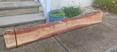 Live Edge Wood Slab