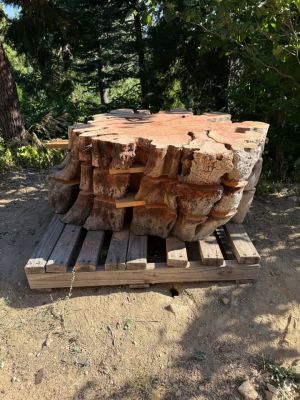 Most items in pics are Carob wood bisquets. Many more oak burl, eucalyptus and cedar slabs as well.