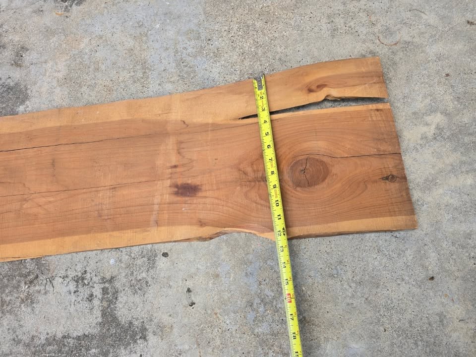 UNIQUE CEDAR SLAB 10FT LONG - Image 5