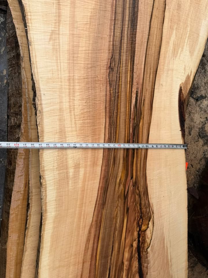 Silver Maple Live Edge Sawmill Slabs - Image 3
