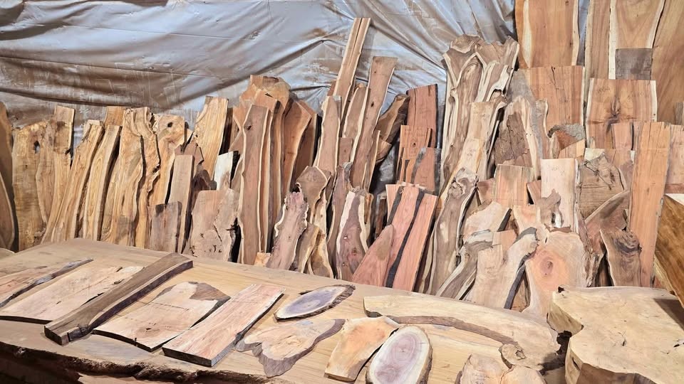 Wood slabs , Vacuum Kiln dried and surfaced flat , 800 fully dried slabs - Image 2