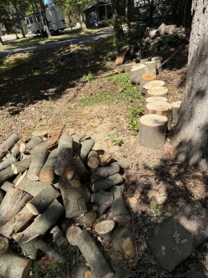 Wood (make offer) all hardwood