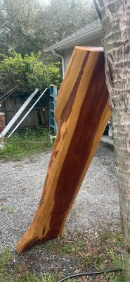 Live Edge Wood Slab