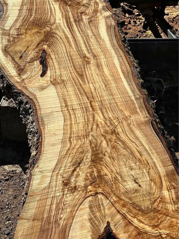 Wild Ash Slabs ;) (Kiln Dried) - Image 1