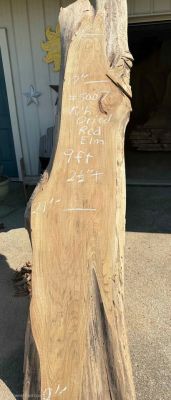 Kiln Dried Red Elm Slabs featuring a Bold Grain, with Rich Honey-Amber and Reddish-Brown deep tones!