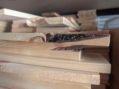 Wood remnants