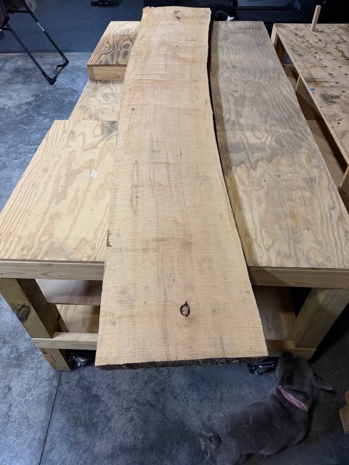 Live Edge Wood Slab - Image 2