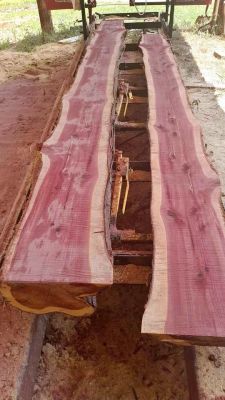 Beautiful live edge cedar!