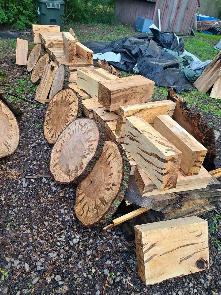 Curly spalted ambrosia maple turning blanks and rounds - Image 1
