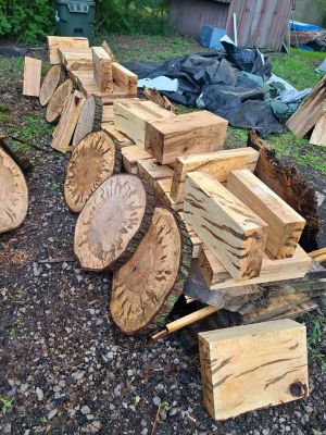 Curly spalted ambrosia maple turning blanks and rounds
