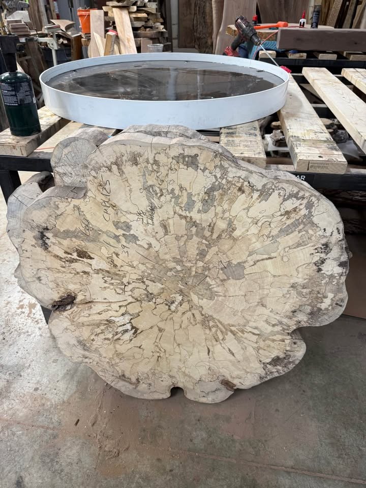 Hundreds of kiln dried & flattened wood slices - Image 2