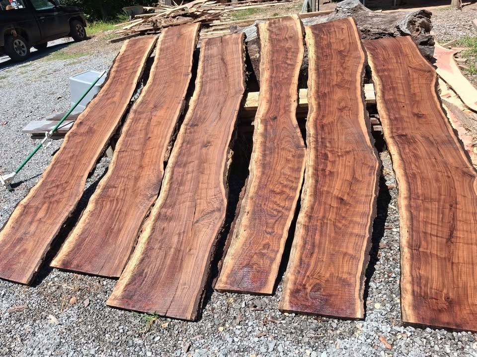 Live edge walnut slabs - Image 6