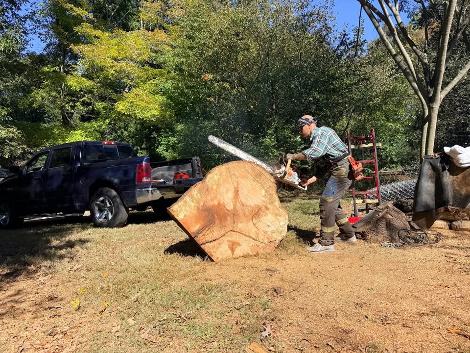 Huge 46" Live Edge Wood Cookie Slab - 4.5" Thick - Image 4