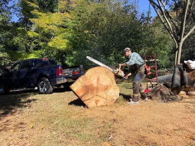 Huge 46" Live Edge Wood Cookie Slab - 4.5" Thick