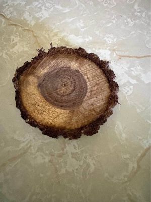 Walnut circles