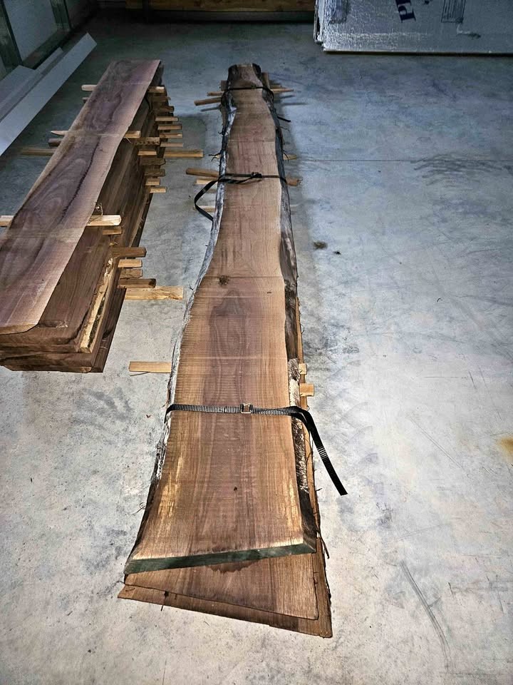 Walnut live edge slabs 1" x 12" x 11 foot - Image 1
